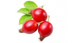 Rosehip